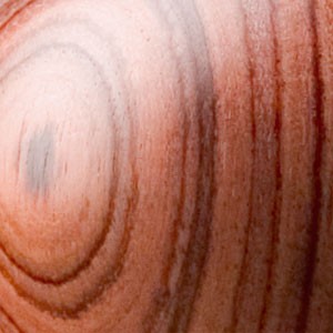 Signatar® Exklusivstempel – Veilchen